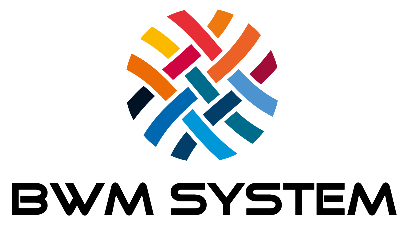 BWM System